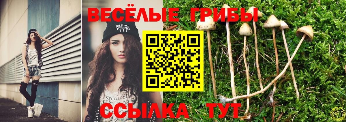 Псилоцибиновые грибы мухоморы Павлово
